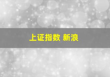 上证指数 新浪